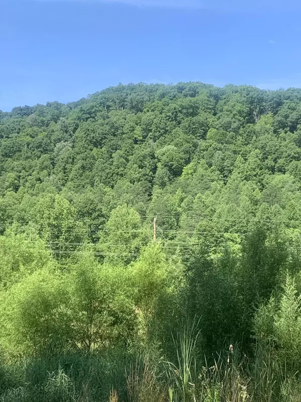 Lot #1 South Fork Road, Stanton, KY 40380