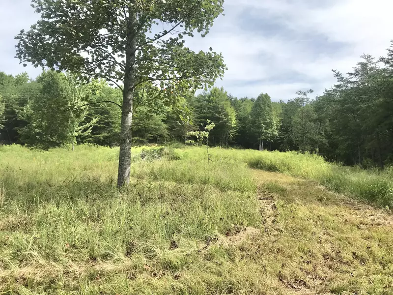 147 Hanshaw Road #147 Acres Land, Olive Hill, KY 41164