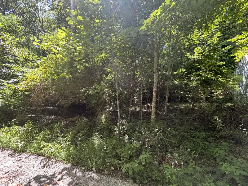 48-50 Jasper Springs Drive, Burnside, KY 42519