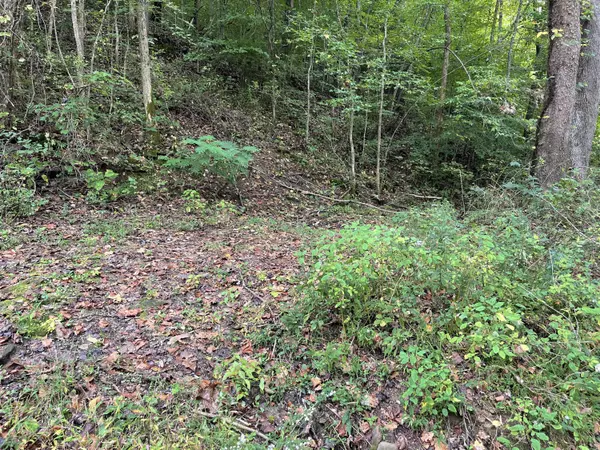 Arjay, KY 40902,310 Simms Fork