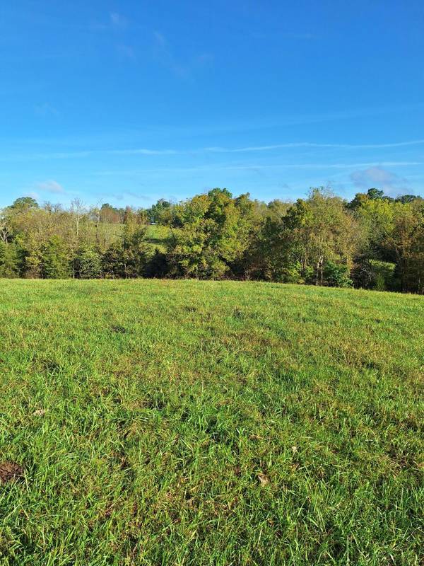 0 Casey Mill Road, Berry, KY 41003