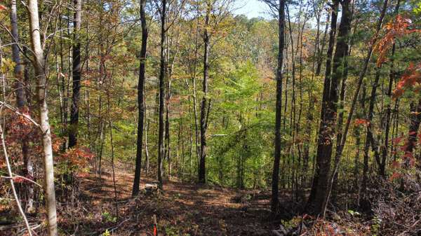 Lot #51 The Reserve At Cliffview, Zoe, KY 41397