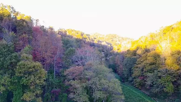 305 Moores Branch Road, Booneville, KY 41314