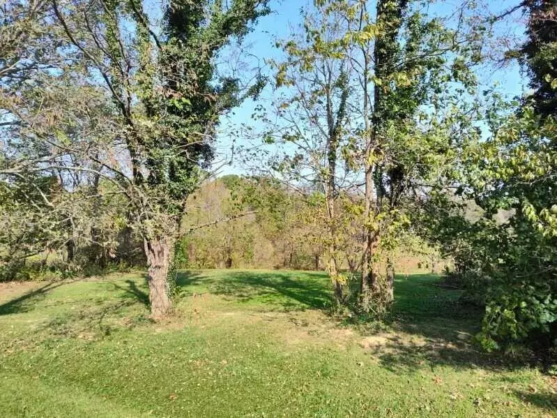 0 Ashcraft Road, Mt Olivet, KY 41064