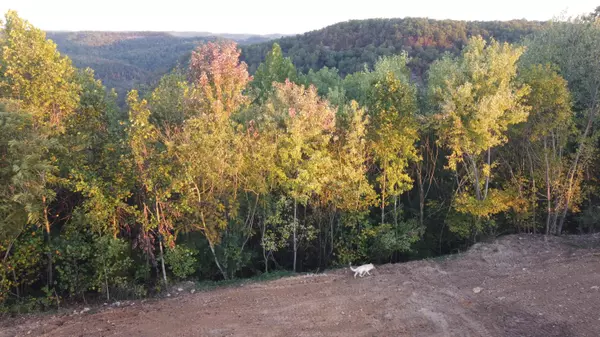 Lot 3 Sky Ridge Retreats, Denniston, KY 40316