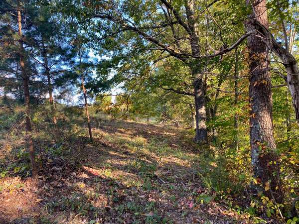 Lot 19 Sky Ridge Retreats, Denniston, KY 40316