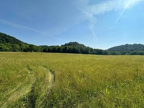 Lot 10 Lawsons Bottom Rd, Burkesville, KY 42717