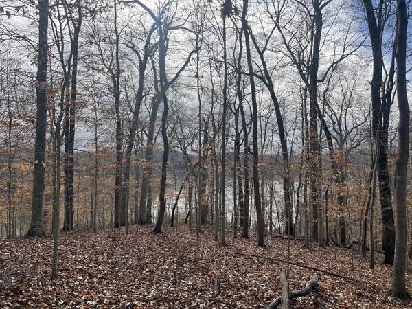 Lot 11 Fishing Creek Estates, Nancy, KY 42544