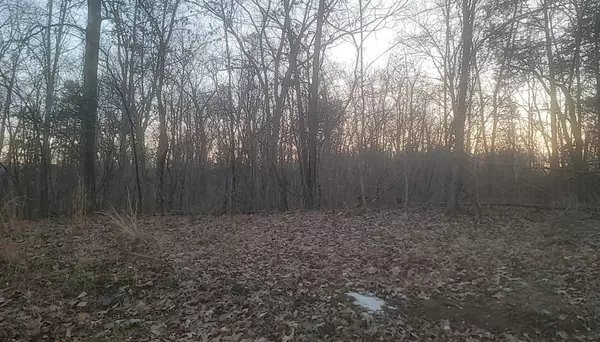 Burnside, KY 42519,300 Cedar Lane