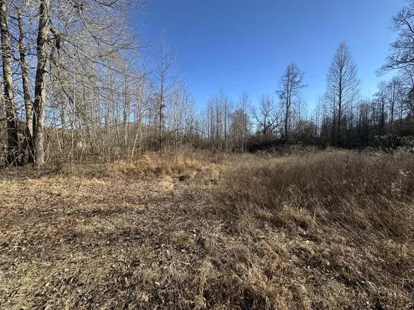 Williamsburg, KY 40769,1111 Tackett Creek Road