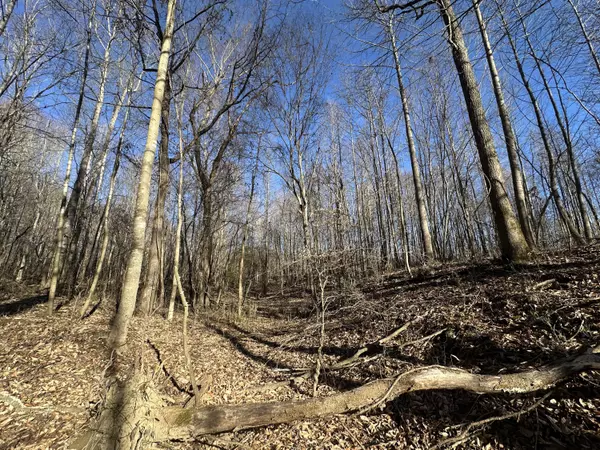 Williamsburg, KY 40769,1111 Tackett Creek Road