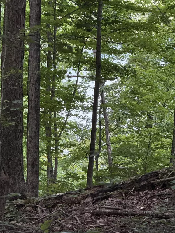 Lot#20 Stephens Drive,  Somerset,  KY 42503