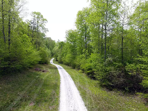 Whitley City, KY 42653,Tract 3 Dogwood Drive