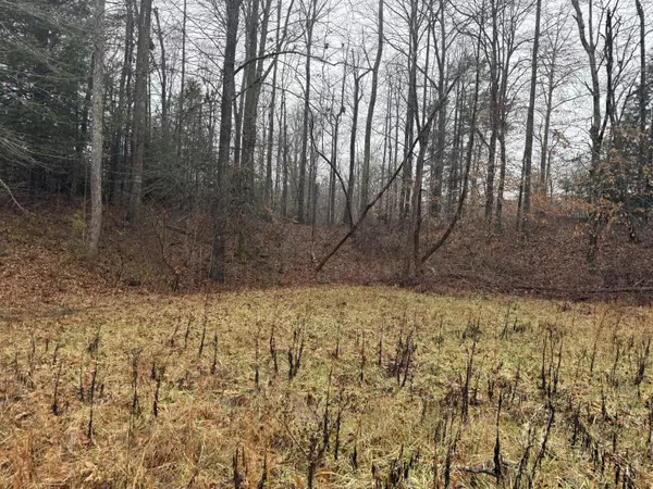 Bronston, KY 42518,40a Forest Way Circle