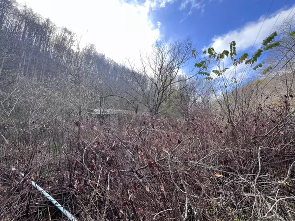 Manchester, KY 40962,000 S Highway 421