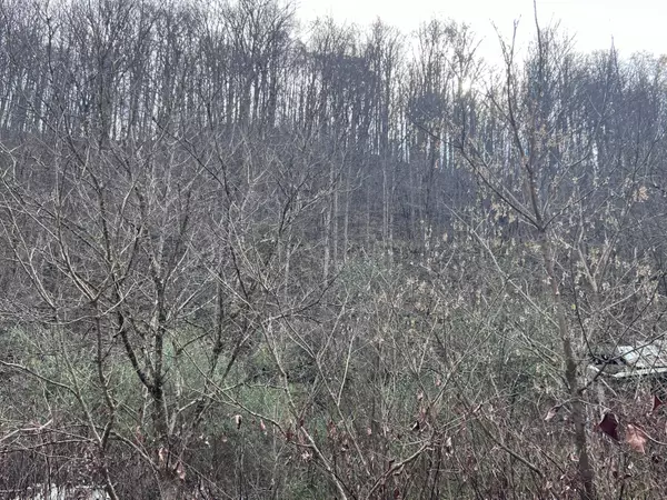 Manchester, KY 40962,000 S Highway 421