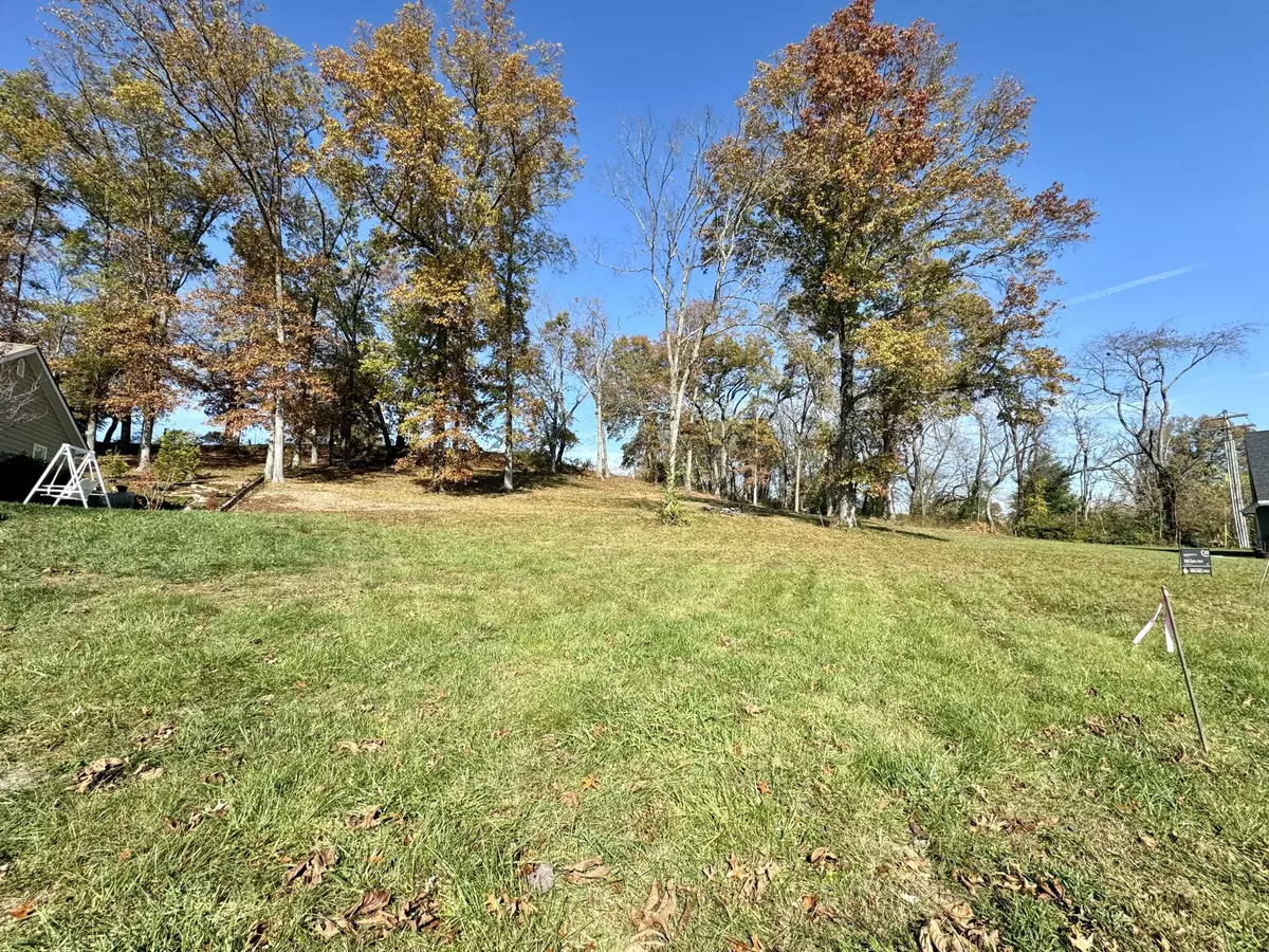 Berea, KY 40403,175 Lorraine Court