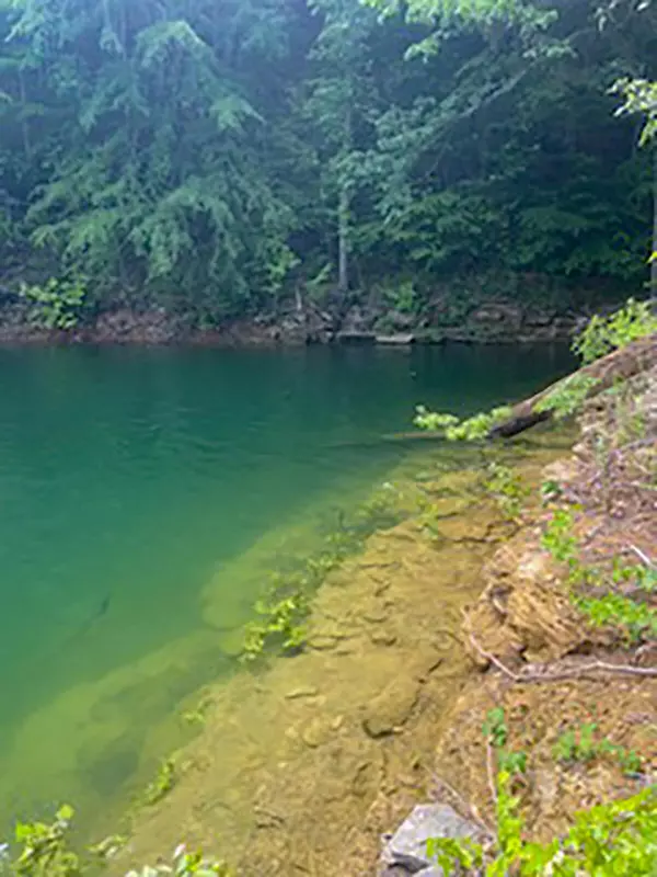 Monticello, KY 42633,00 Hickory Point Drive