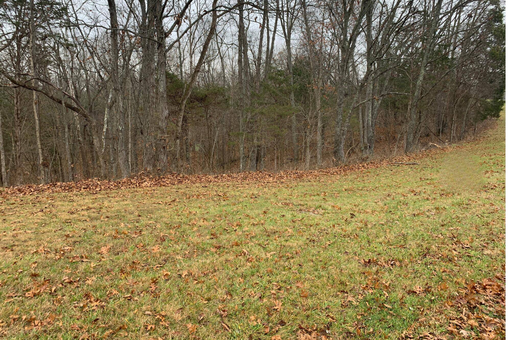 245 Eagle Creek Trail, Sadieville, KY 40370