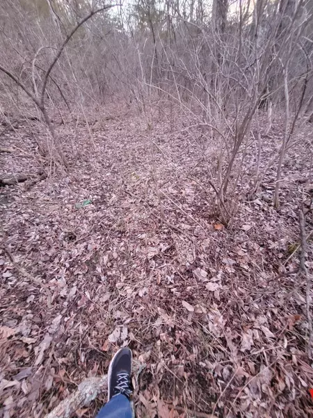 4-1 Lot 9, 10, 12, Corinth, KY 41010