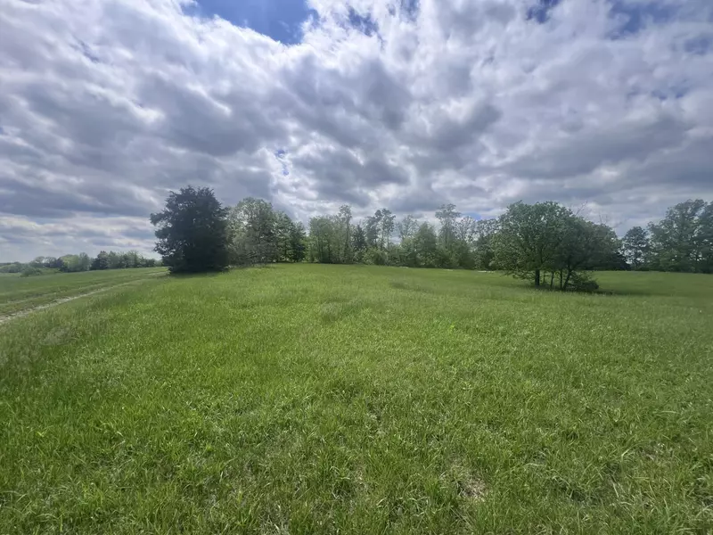 110 Witzel's Way, Mount Olivet, KY 41064