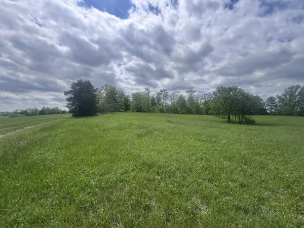 Mount Olivet, KY 41064,110 Witzel's Way