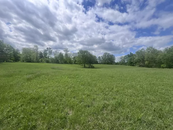 Mount Olivet, KY 41064,110 Witzel's Way