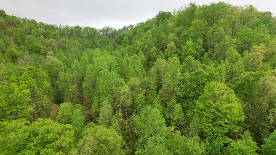 0 Saul Mud LIck Branch, Buckhorn, KY 41721