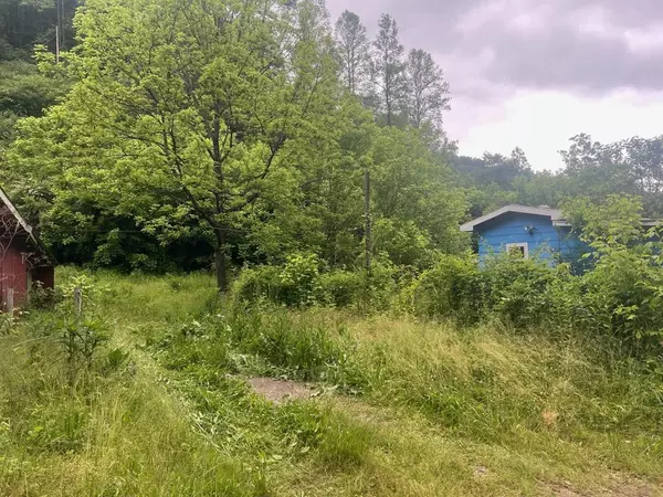 918 Spurlock Fork, Dana, KY