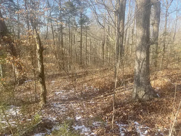 Monticello, KY 42633,Lot 2 Cumberland Shores