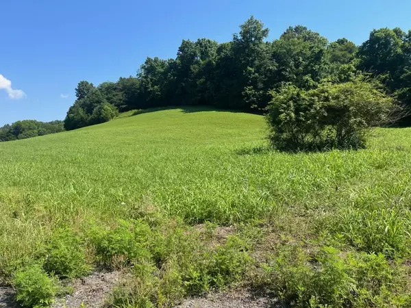 500 Little Renox Road, Burkesville, KY 42717
