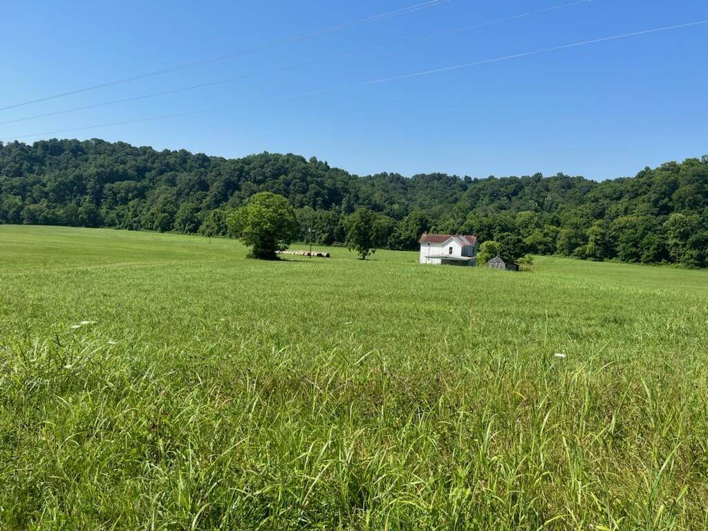 437 Little Renox Road, Burkesville, KY 42717