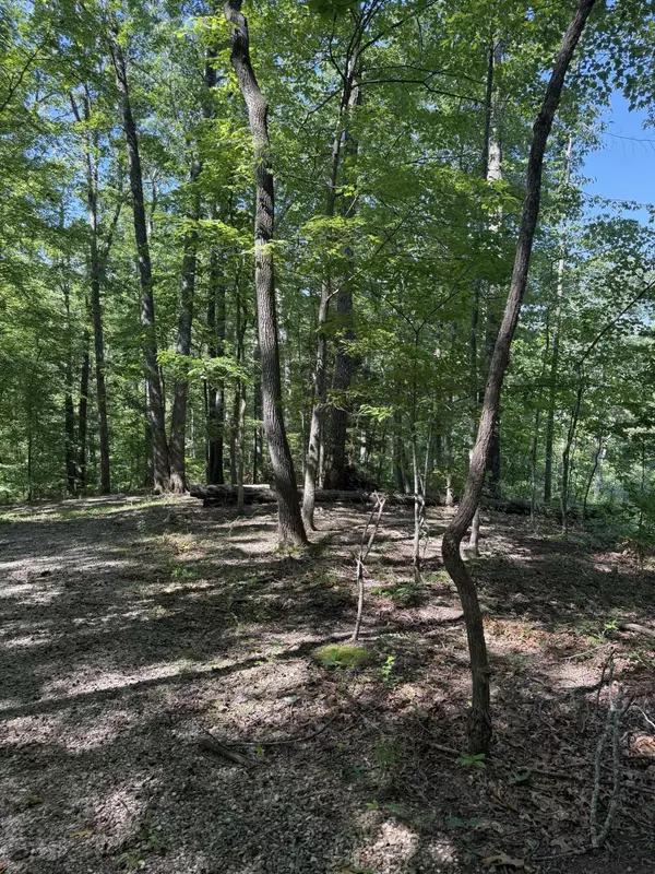 Wellington, KY 40387,214 Lindsey Lane