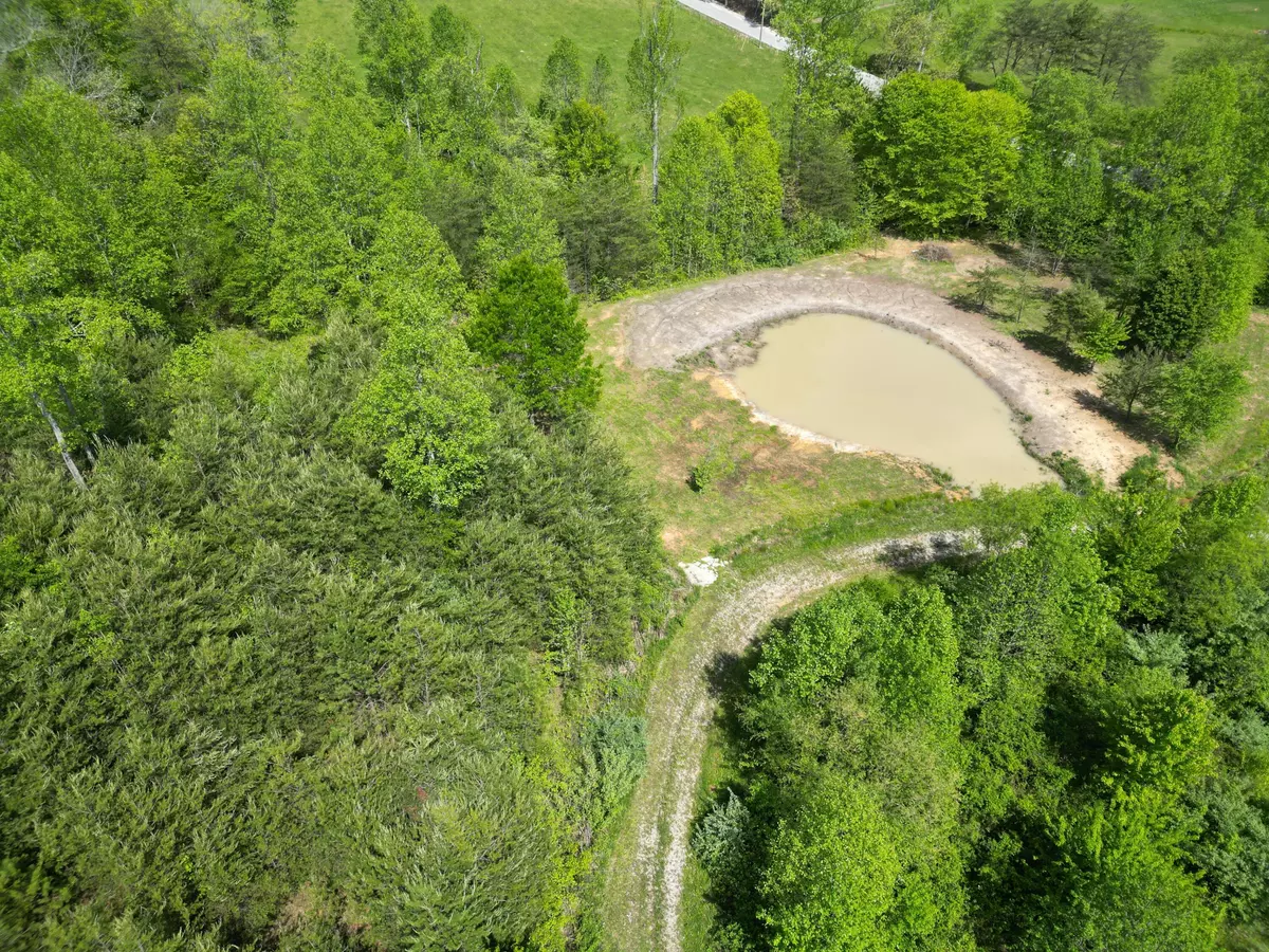 Lily, KY 40740,9999 Cam Court