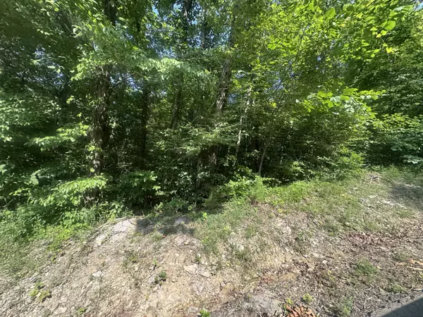 Celina, TN 38551,Lot 28 Rock Springs Road
