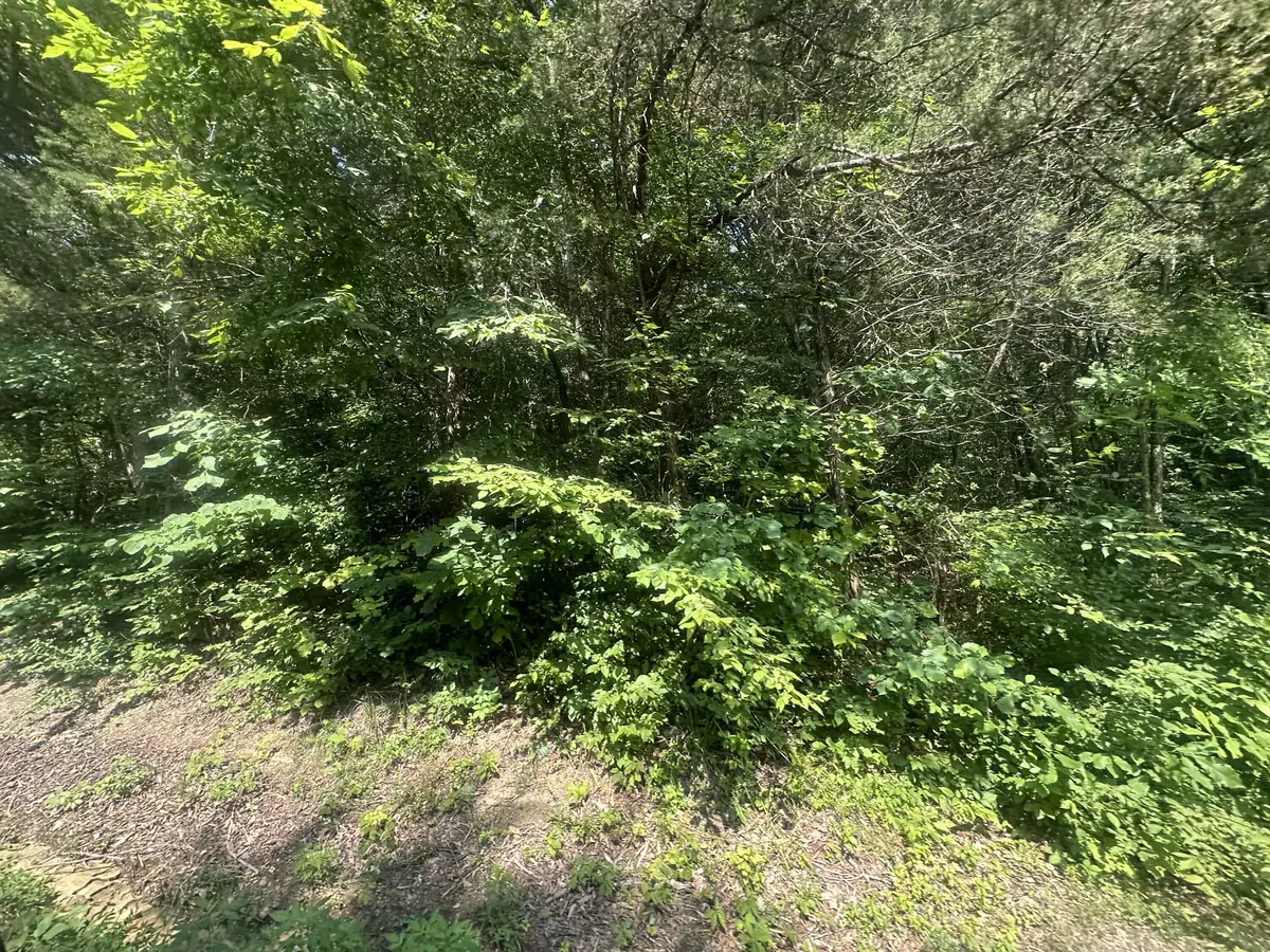 Celina, TN 38551,Lot 25 Rock Springs Road
