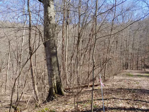Stanton, KY 40380,0 Birch Hollow Road ##15 Phase 2