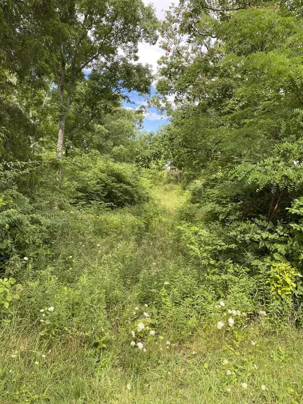 Berry, KY 41003,505 Spider Road