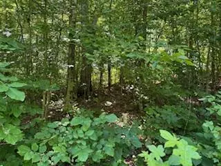 Nancy, KY 42544,Lot 56-60 Cedar Drive