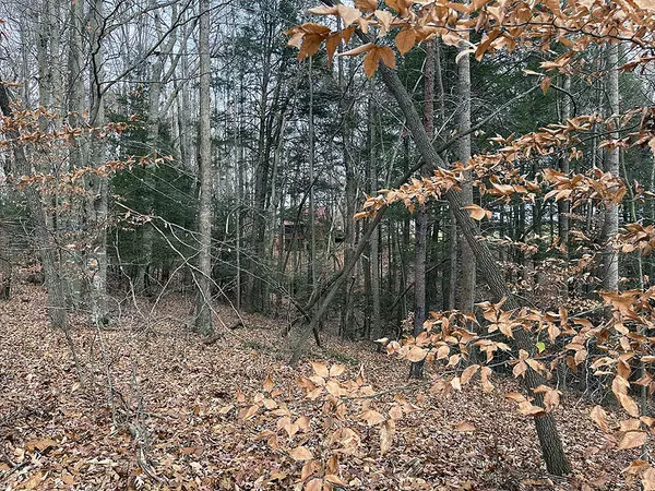 Russell Springs, KY 42642,Lot 189 Stillwater