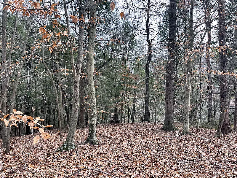 Lot 189 Stillwater, Russell Springs, KY 42642
