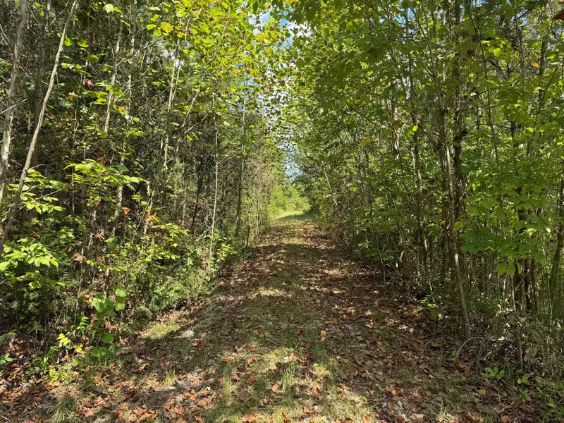 9999 Rose Hill Road, Mt Vernon, KY 40456