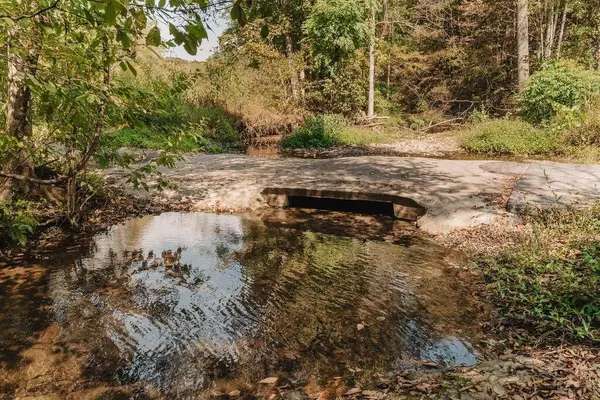 Russell Springs, KY 42642,1481 S Thornton Road