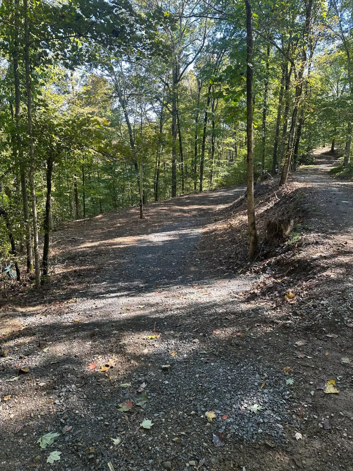 Nancy, KY 42544,185 Sugar 2 Road
