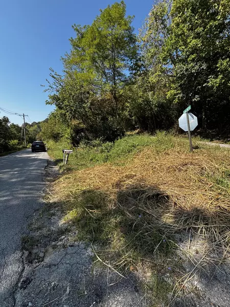 175 Ed Monroe Road, Falmouth, KY 41040