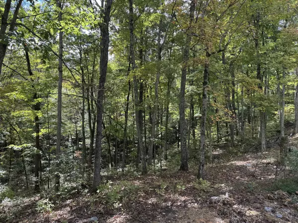 Monticello, KY 42633,Lot 84,85,86 Sandstone Point Trail