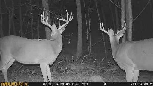 Jeffersonville, KY 40337,775 Reffitt Road