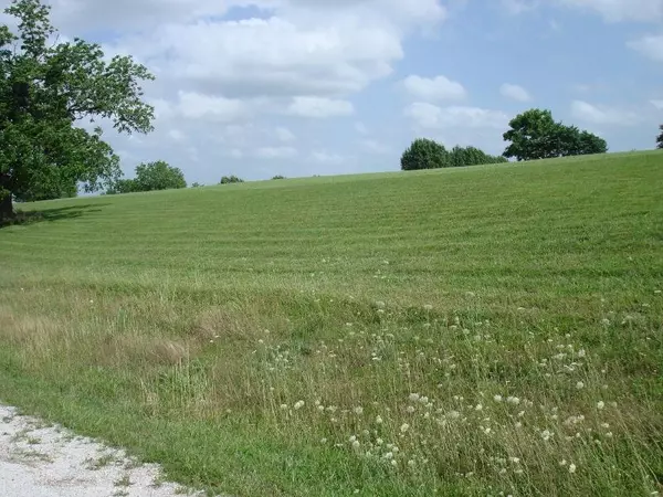 Walnut Shade, MO 65771,Tbd Whitetail Crossing Lots