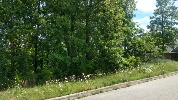 Lot 27 West Brook, Marshfield, MO 65706