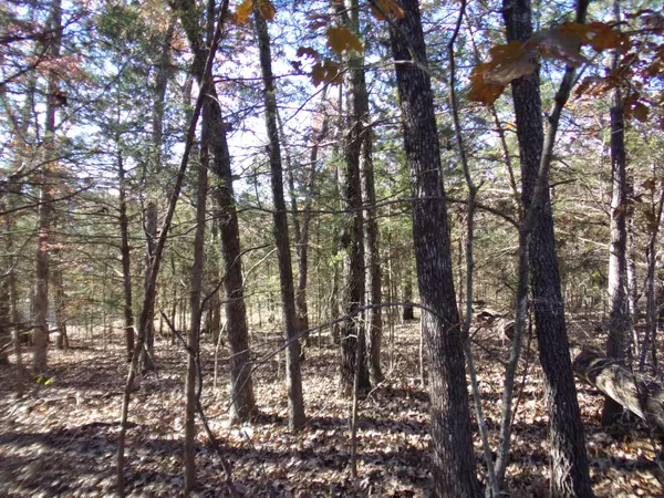 Kimberling City, MO 65686,000 Lot 5 Montego Drive